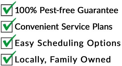 Reasons to choose Miller Pest Solutions 