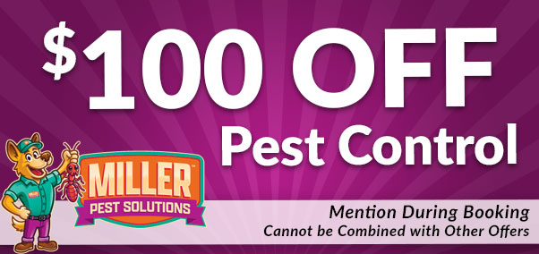 $100 off pest control -miller the killer