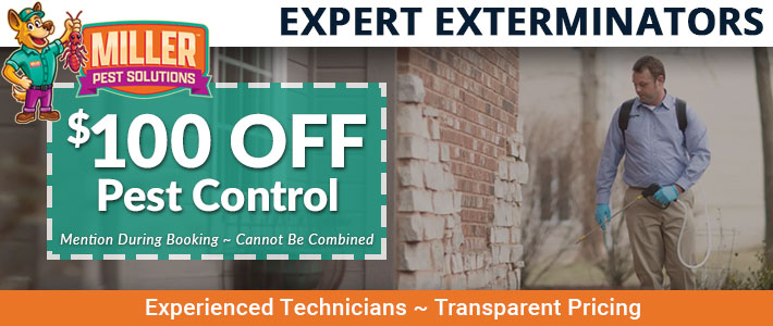 apache junction exterminators Miller Pest Solutions
