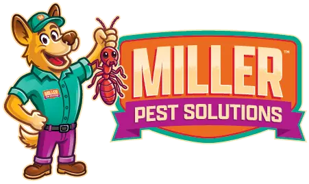 Market CityMiller Pest Solutions
