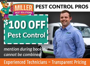chandler Pest control Miller Pest Solutions