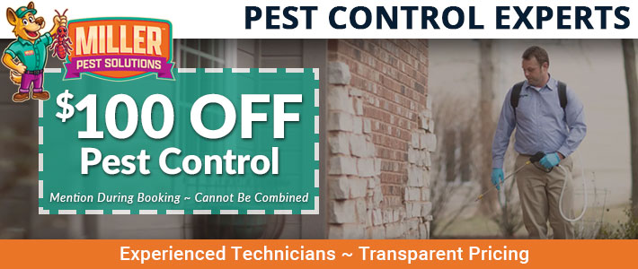 chandler Pest control Miller Pest Solutions