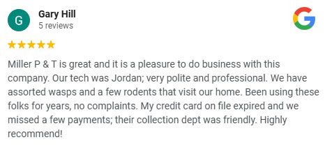 review 1