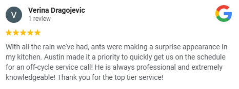 review 2