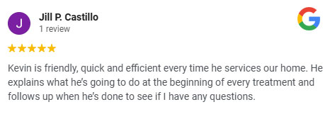 review 3