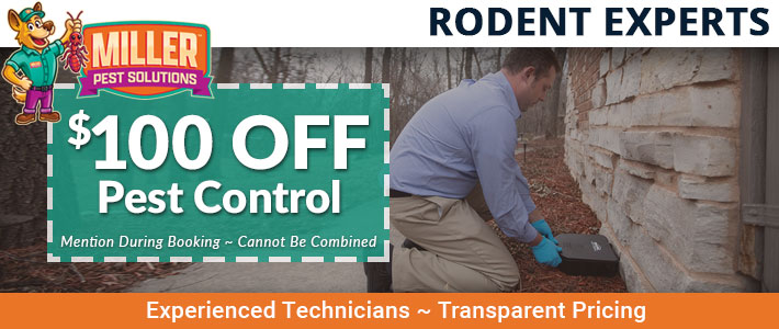 cave creek Rodent control Miller Pest Solutions