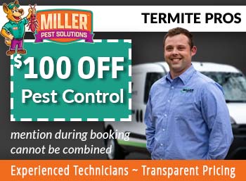 apache junction termite treatment  Miller Pest Solutions