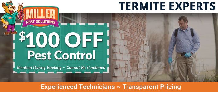 apache junction termite control Miller Pest Solutions